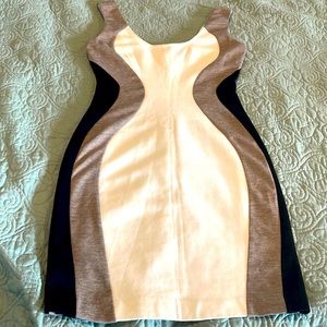 Ark & co fitted dress with a back zipper size small length is mid thigh